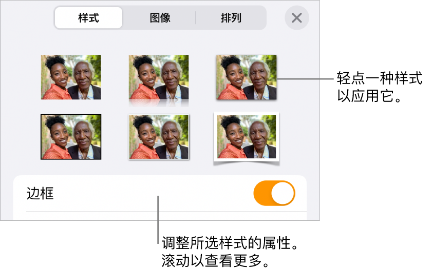 “格式”菜单中的“样式”,顶部为对象样式,样式下方为更改边框的控制。