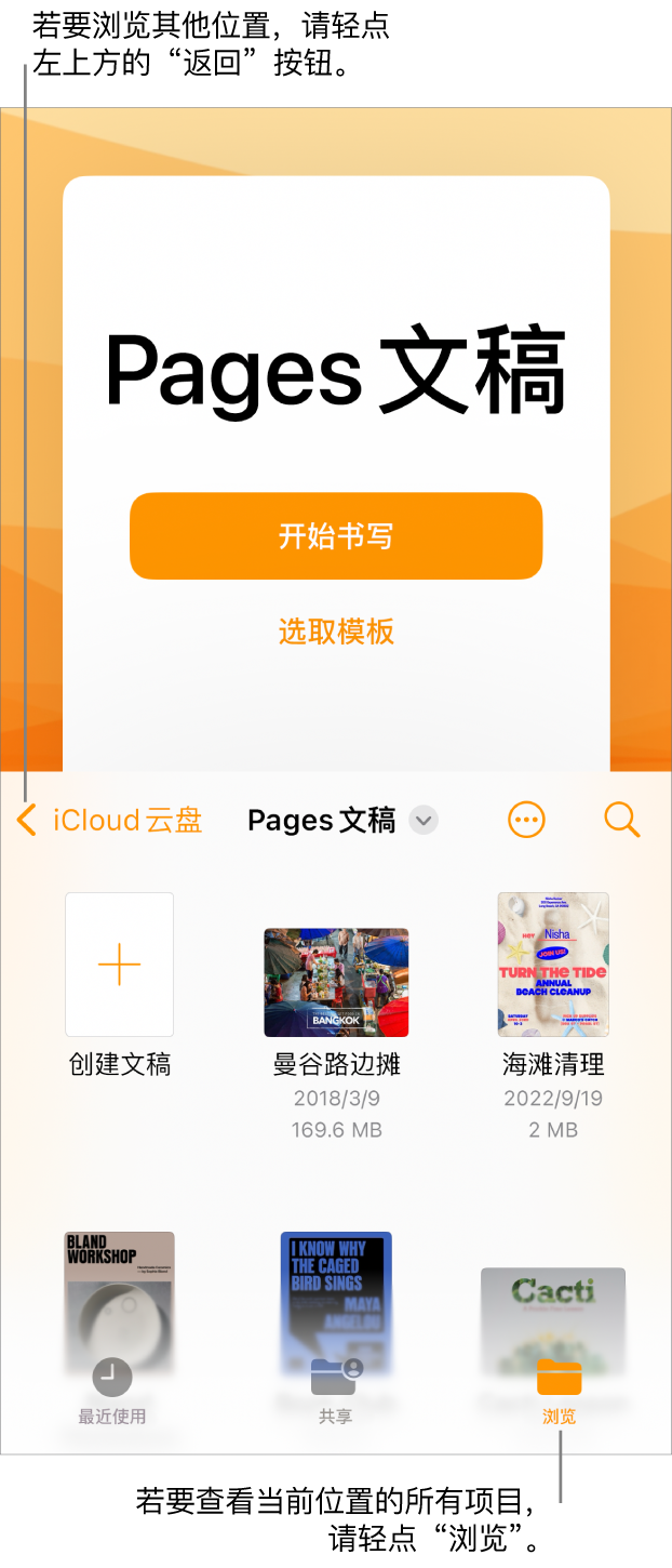 文稿管理器的浏览视图,“返回”按钮位于左上角,其下方是搜索栏。搜索栏下方是“创建文稿”按钮,位于现有文稿的缩略图旁边。右上角是“最近使用”、“共享”和“浏览”按钮。