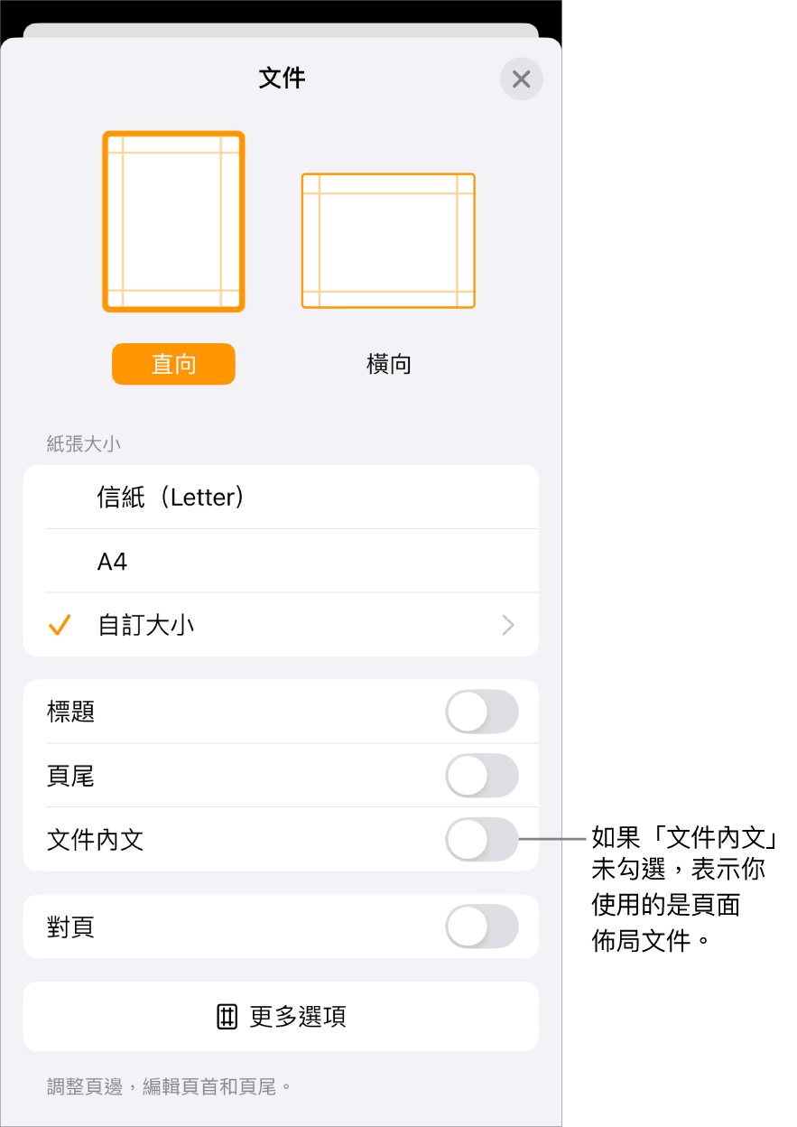 一份頁面佈局文件中打開「文件設定」，並取消勾選「文件內文」。