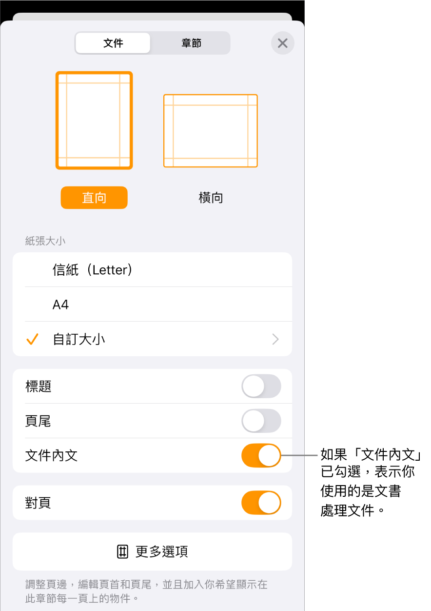 一份文書處理文件中打開「文件設定」，並勾選「文件內文」。
