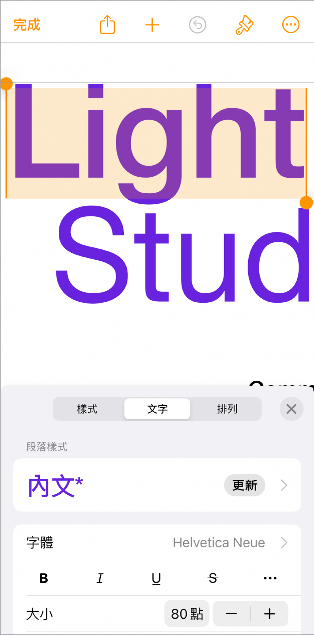 在開啟的文件中,選取了文字並在底部顯示文字選項。