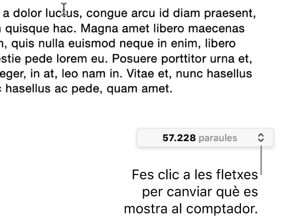 El menú “Recompte de paraules”, que mostra el nombre de paraules del document.
