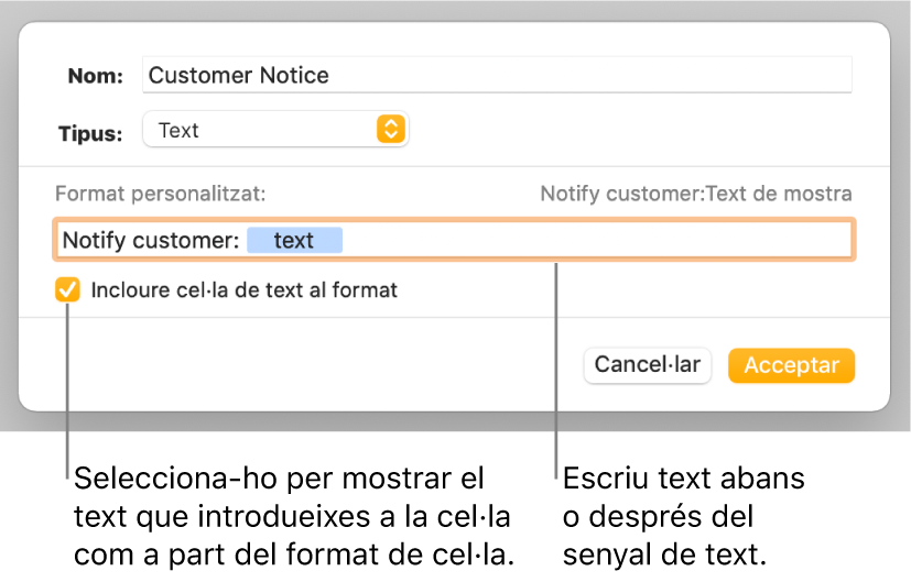 La finestra de format de cel·la personalitzat, amb controls per seleccionar el format de text personalitzat.