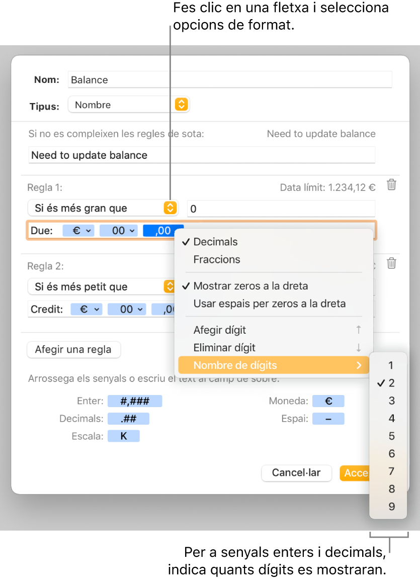 La finestra de format de cel·la personalitzat, amb controls per seleccionar les opcions de format personalitzat.