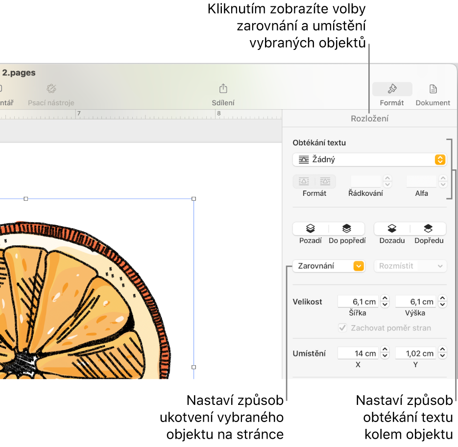 Nabídka Formát se zobrazeným bočním panelem Rozložení. Nahoře na bočním panelu Rozložení se nachází oddíl voleb Umístění objektu a pod ním oddíl voleb Obtékání textu