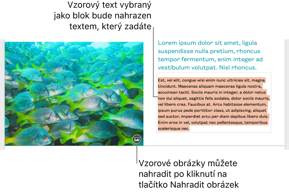 Makety textu a obrázků