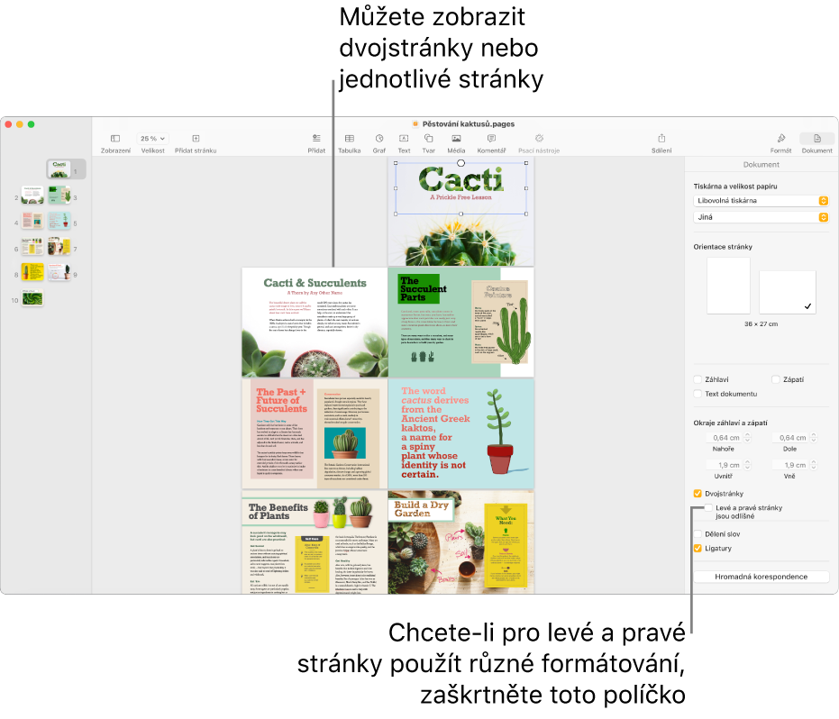 Okno Pages s miniaturami stránek a stránky dokumentu zobrazené jako dvojstránky. Na bočním panelu Dokument napravo je odznačeno políčko „Levé a pravé stránky jsou odlišné“