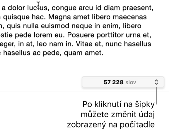 Nabídka, v níž se zobrazuje počet slov v dokumentu