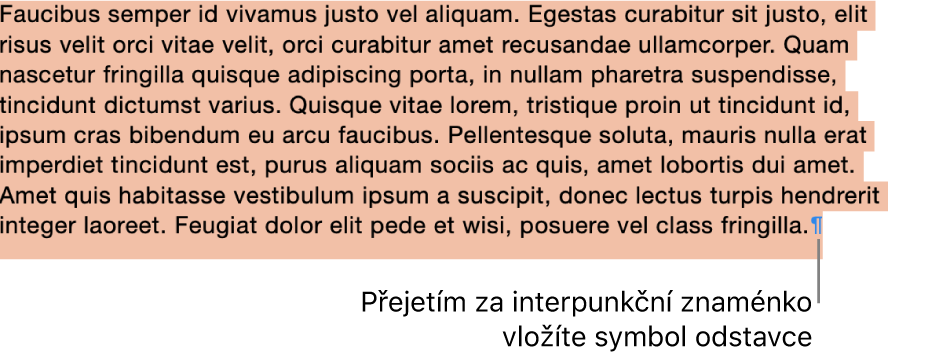 Označený odstavec; do výběru je zahrnutý i symbol odstavce na jeho konci