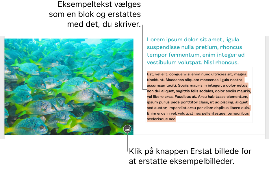 Eksempeltekst og -billeder.