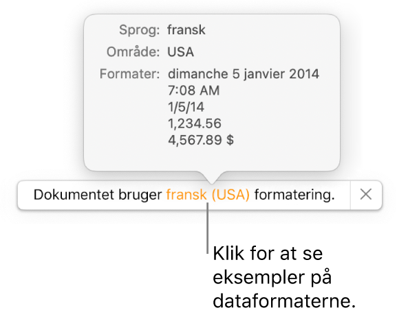 Notifikationen om de forskellige indstillinger af sprog og område, der viser eksempler på den formatering, som hører til sproget og området.
