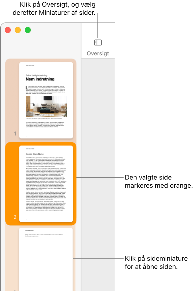 Indholdsoversigten i venstre side af Pages-vinduet med oversigten Miniaturer af sider åben og en valgt side markeret med mørk orange.