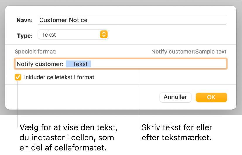 Vinduet til specielle celleformater med betjeningsmuligheder til valg af speciel formatering af tekst.