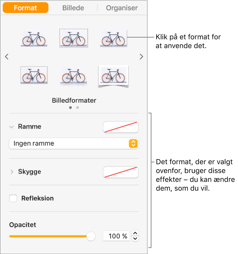Fanen Format i indholdsoversigten Format, der viser valg til objektformater.