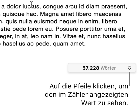 Das Menü für die Wortanzahl mit der Anzahl der Wörter im Dokument