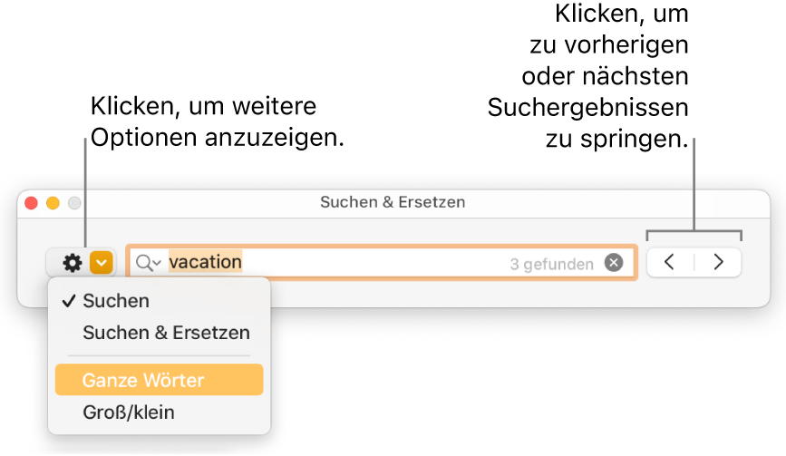 Das Fenster „Suchen & Ersetzen“ mit dem Einblendmenü, in dem Optionen zum Suchen, Suchen und Ersetzen, Suchen ganzer Wörter und Suchen unter Berücksichtigung der Groß-/Kleinschreibung zu sehen sind. Mit den Pfeilen auf der rechten Seite kann zu den vorherigen bzw. nächsten Suchergebnissen gesprungen werden.