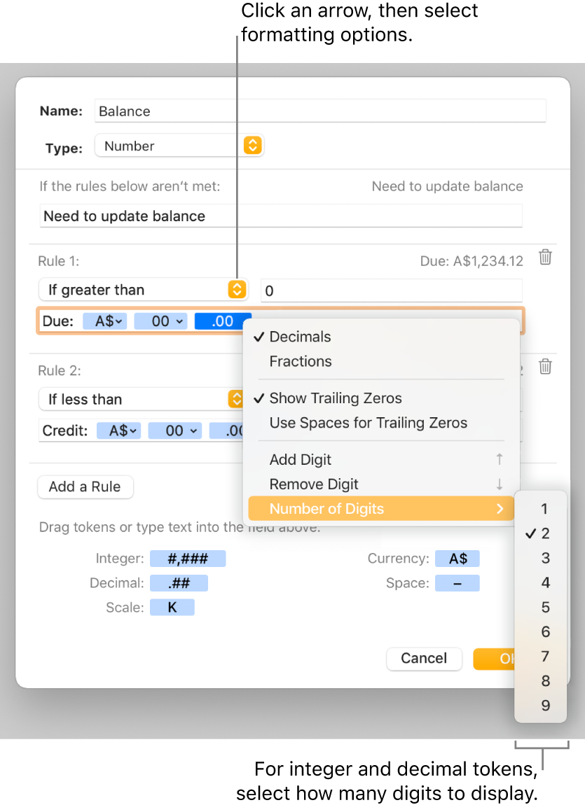 The custom cell format window with controls for choosing custom formatting options.