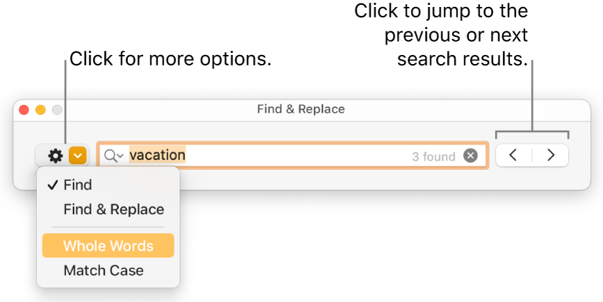 The Find & Replace window with the pop-up menu showing options for Find, Find & Replace, Whole Words and Match Case. The arrows on the right let you jump to the previous or next search results.