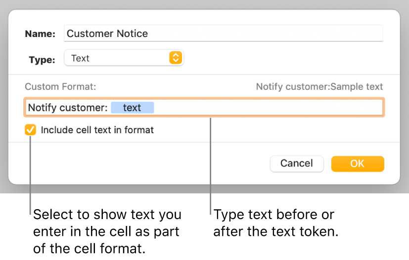 The custom cell format window with controls for choosing custom text formatting.