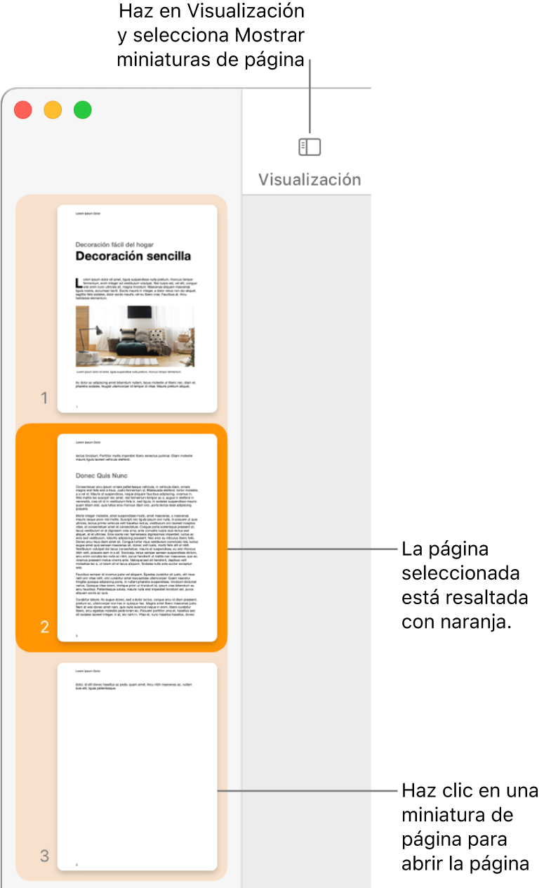La barra lateral a la izquierda de la ventana de Pages con la visualización Miniaturas de página abierta, y una página seleccionada que se resalta en naranja oscuro.