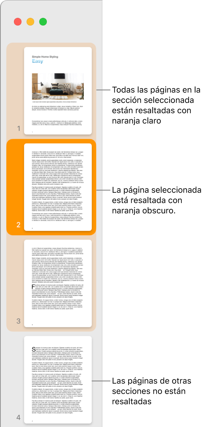 Barra lateral Visualización de miniaturas de página con la página seleccionada resaltada en naranja oscuro, y todas las páginas de la sección seleccionada resaltadas en naranja claro.