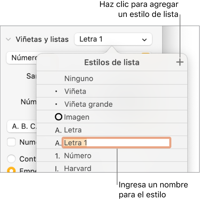 El menú desplegable Estilos de lista con el botón Agregar en la esquina superior derecha y un nombre de estilo de marcador de posición con su texto seleccionado.