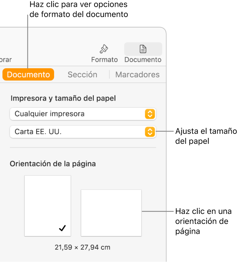 La barra lateral Documento con la pestaña Documento de la parte superior seleccionada. En la barra lateral hay un menú desplegable para ajustar el tamaño del papel y botones para la orientación vertical u horizontal.