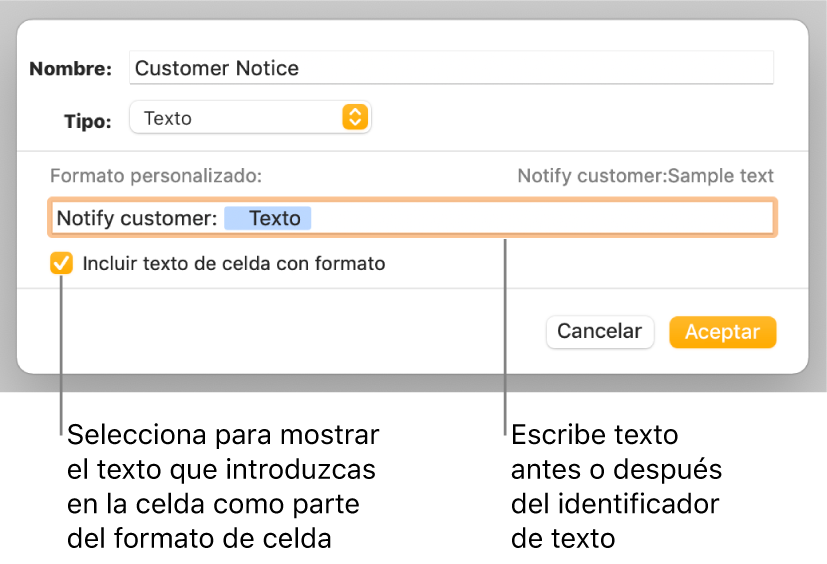 La ventana de formato de celda personalizado con controles para seleccionar formatos de texto personalizados.