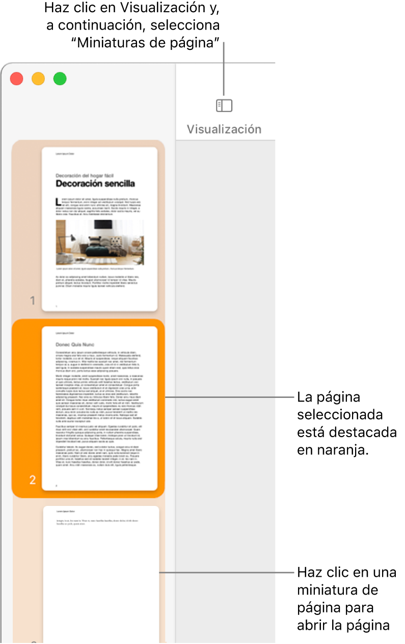 La barra lateral en el lado izquierdo de la ventana de Pages con la visualización de miniaturas de página abierta y una página seleccionada resaltada en naranja oscuro.