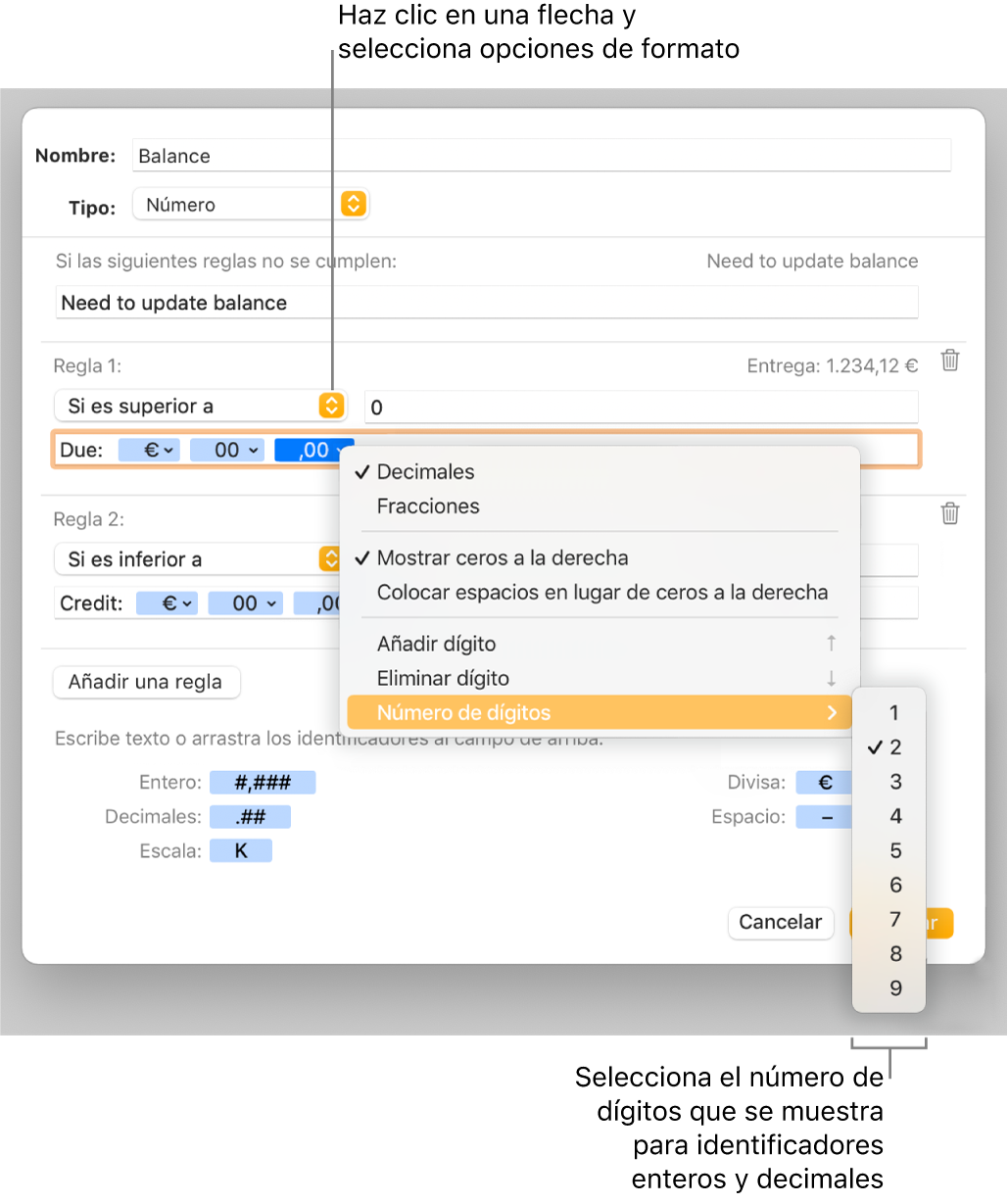 La ventana de formato de celda personalizado con controles para seleccionar opciones de formato personalizadas.