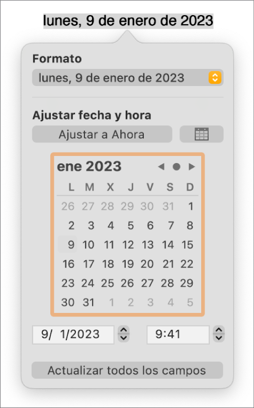 Los controles “Fecha y hora” con un menú desplegable para el formato y los controles “Ajustar fecha y hora”.