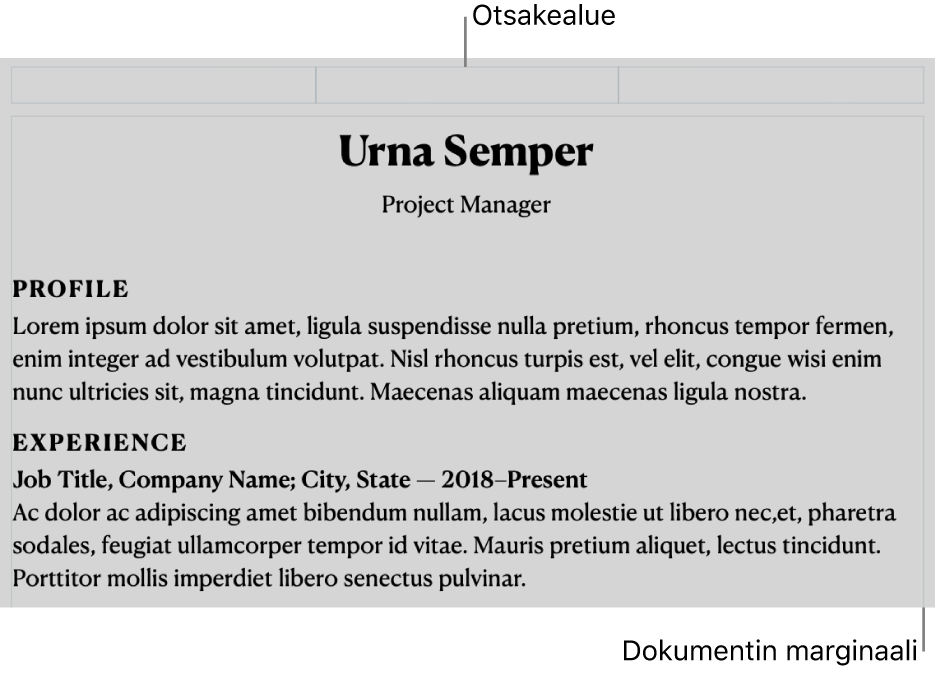 Asettelunäkymä, jossa näkyvät otsakealue ja dokumentin marginaalit.