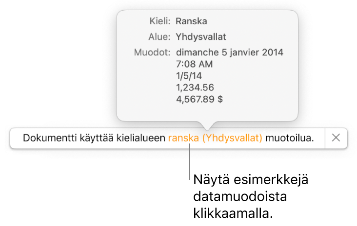 Eri kieli- ja alueasetuksen ilmoitus, jossa on esimerkkejä kyseisen kielen ja alueen muotoilusta.