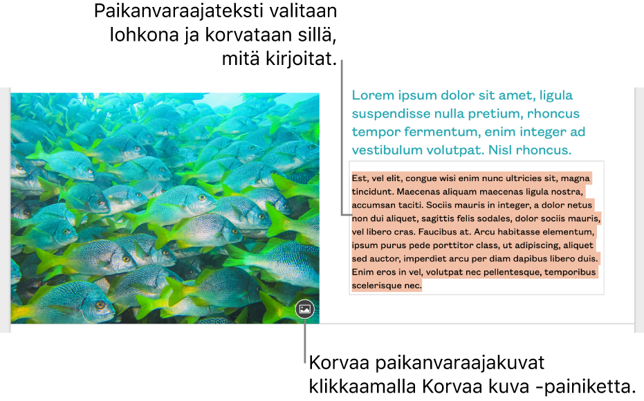 Paikanvaraajateksti ja -kuvat.