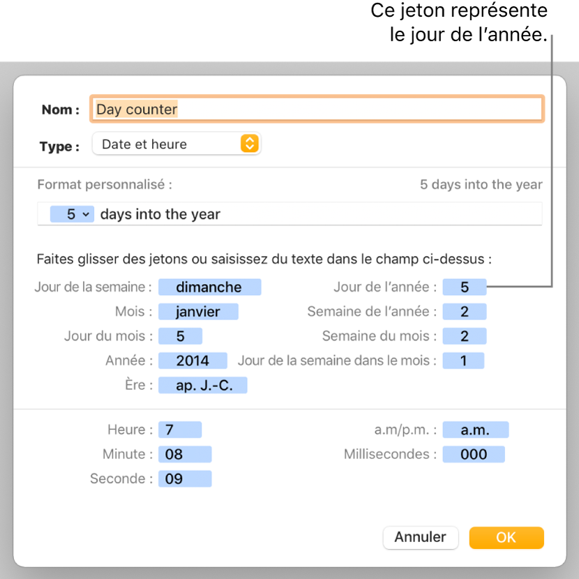 Fenêtre de format de cellule personnalisé présentant les commandes permettant de choisir un format de date et d’heure personnalisé.