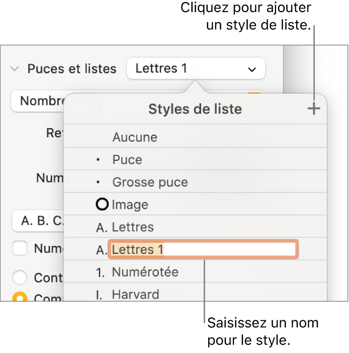 Menu contextuel Styles de liste avec un bouton Ajouter dans le coin supérieur et un nom de style de paramètre fictif dont le texte est sélectionné.
