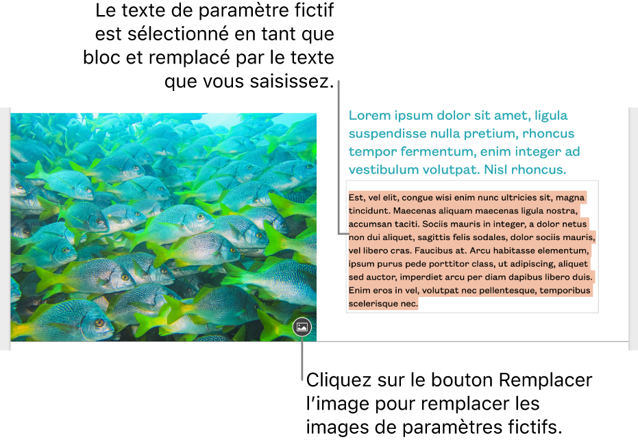 Texte et images de paramètre fictif.