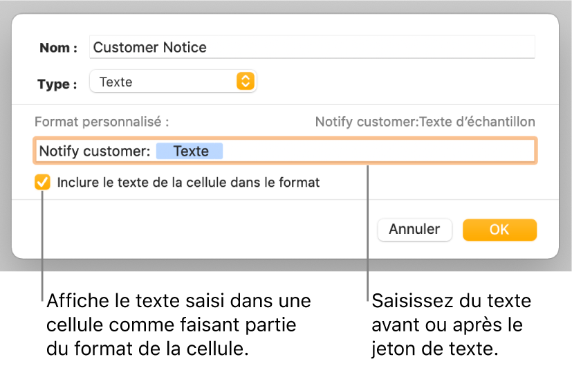 Fenêtre de format de cellule personnalisé présentant les commandes permettant de choisir un format de texte personnalisé.