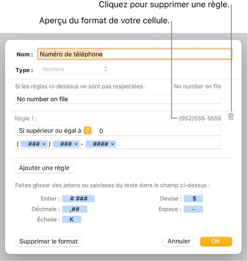 Fenêtre de format de cellule personnalisé présentant les commandes permettant de choisir un format numérique personnalisé.