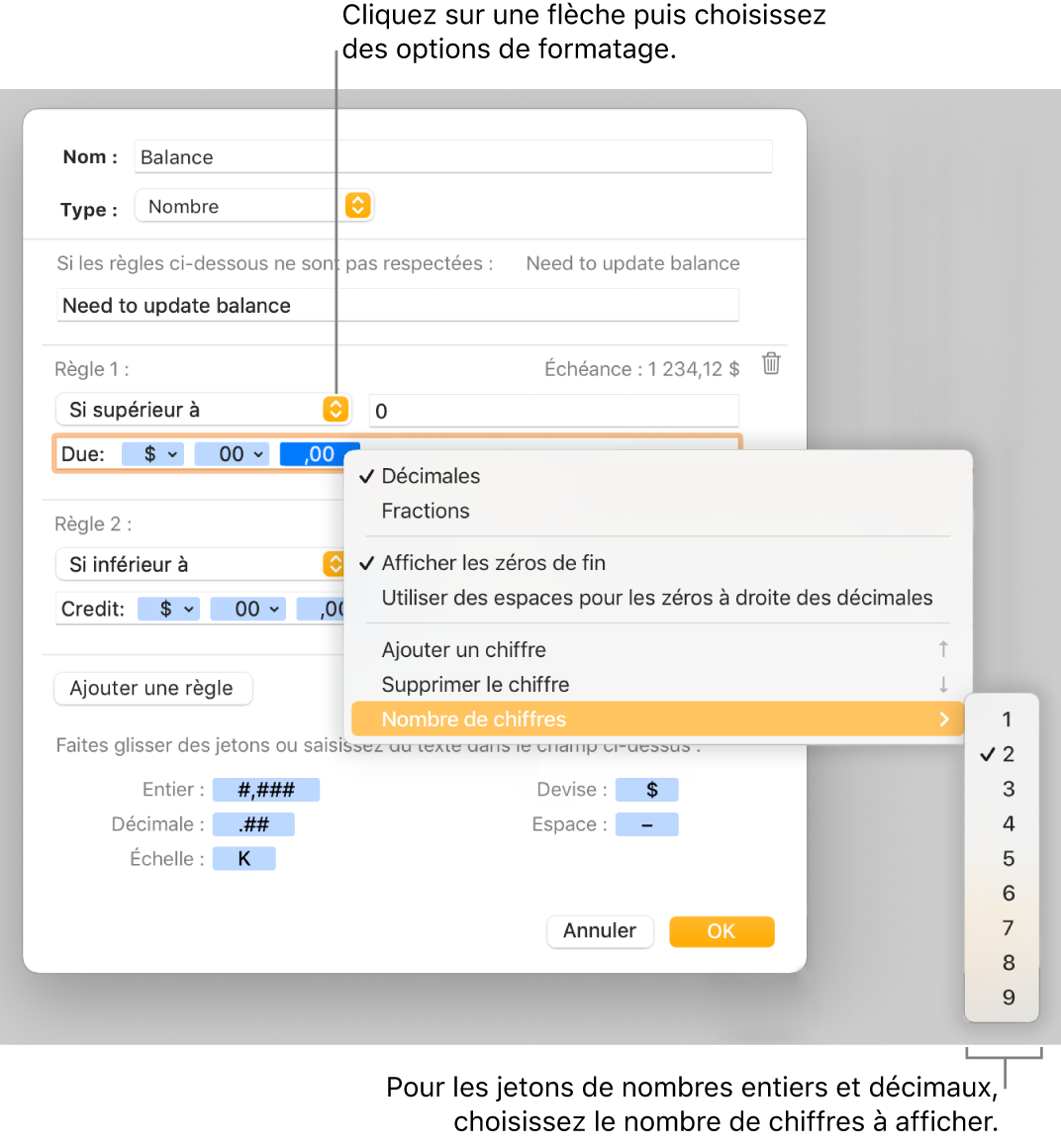 La fenêtre de format de cellule personnalisé présentant les commandes permettant de choisir des options de mise en forme personnalisée.