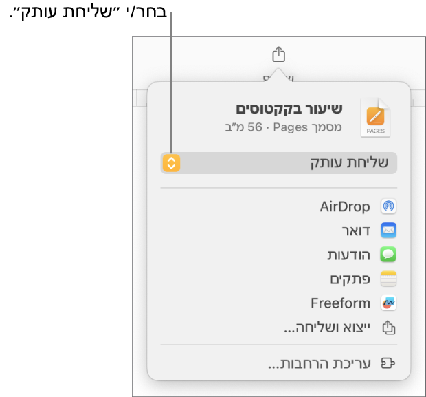 תפריט השיתוף כאשר האפשרות ״שלח/י עותק״ נבחרת בחלק העליון.