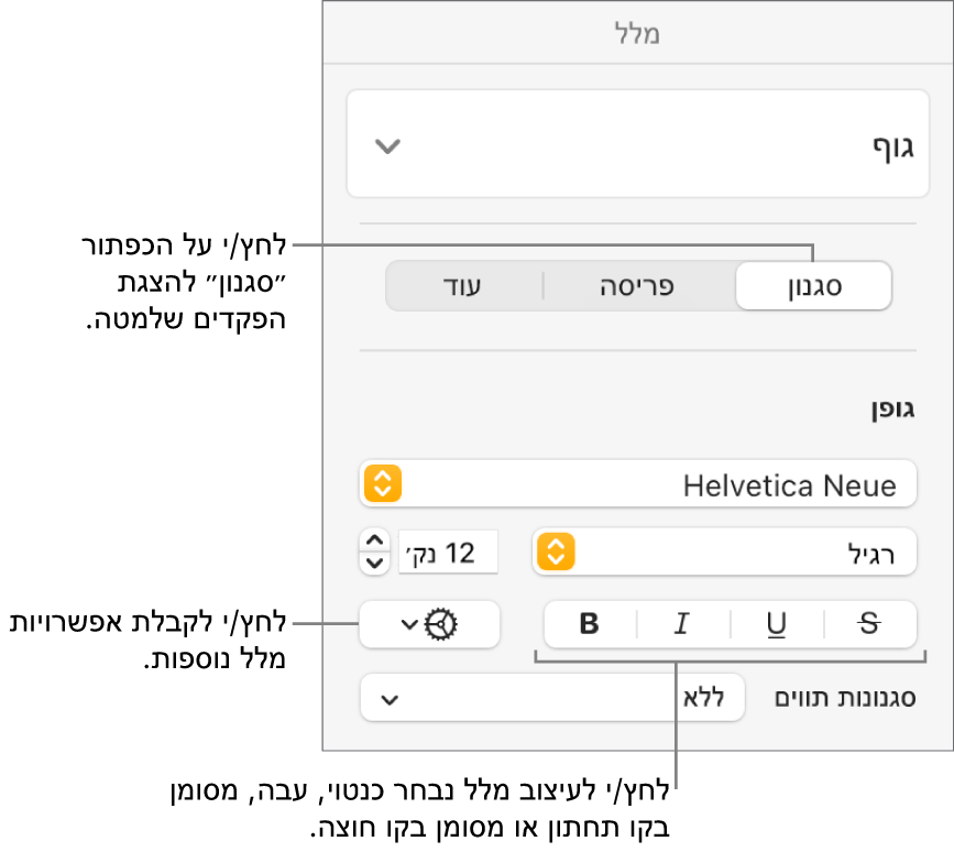כלי הבקרה של סגנון בסרגל הצד ״עיצוב״ עם הסברים עבור הכפתורים ״עבה״, ״נטוי״, ״קו תחתון״ ו״קו חוצה״.