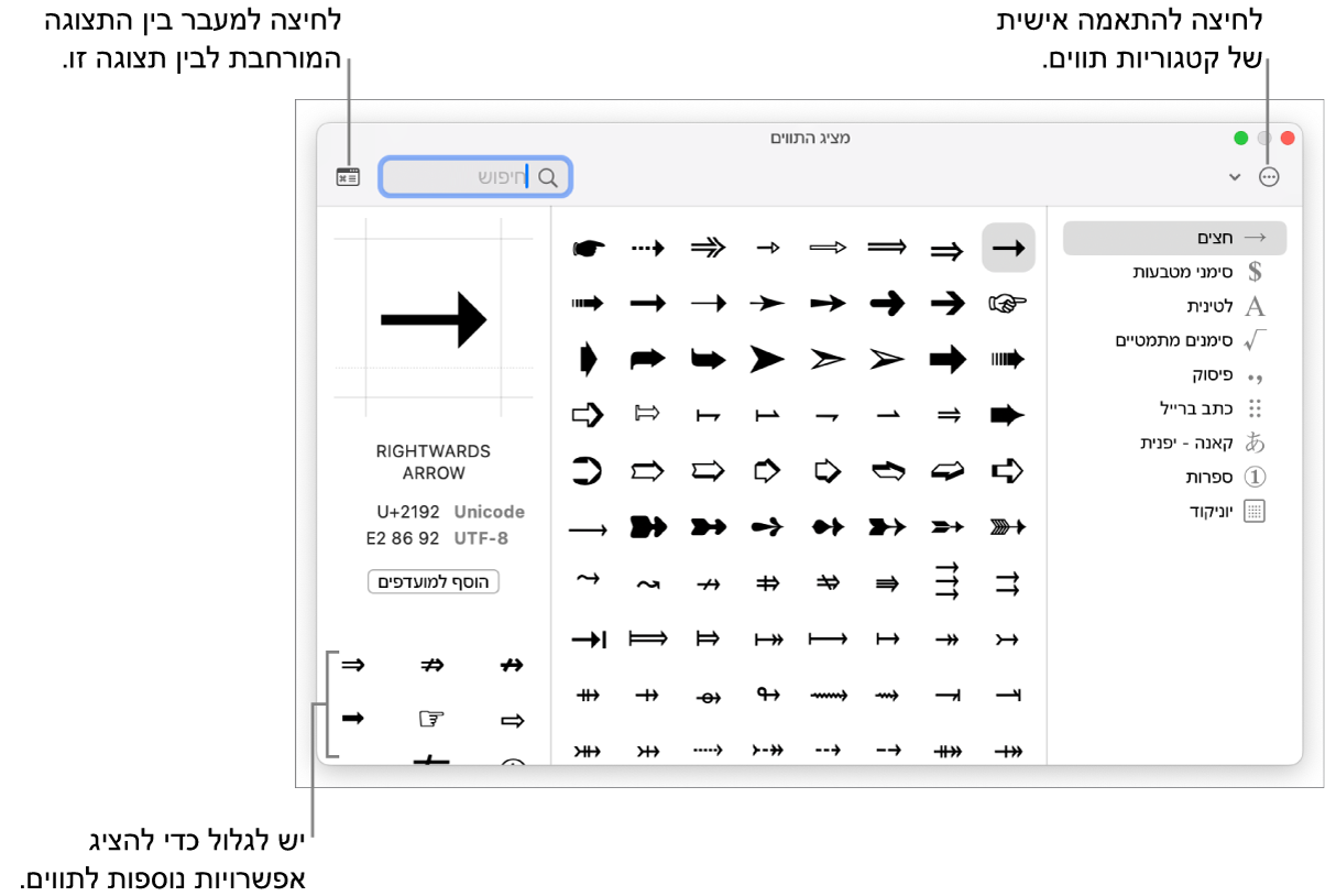 ״מציג התויים״ המורחב מציג תווים מיוחדים וסמלים, תפריט עבור הקטגוריות השונות של סמלים מופיע מימין וכפתור בפינה השמאלית העליונה מאפשר לך לחזור לתצוגה המצומצמת.