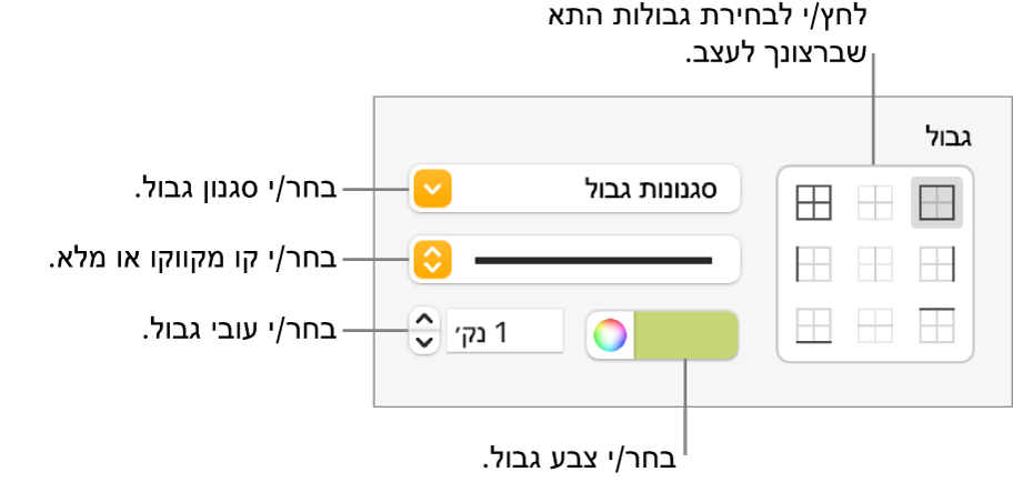 כלי בקרה להגדרת סגנון עבור גבולות תאים.
