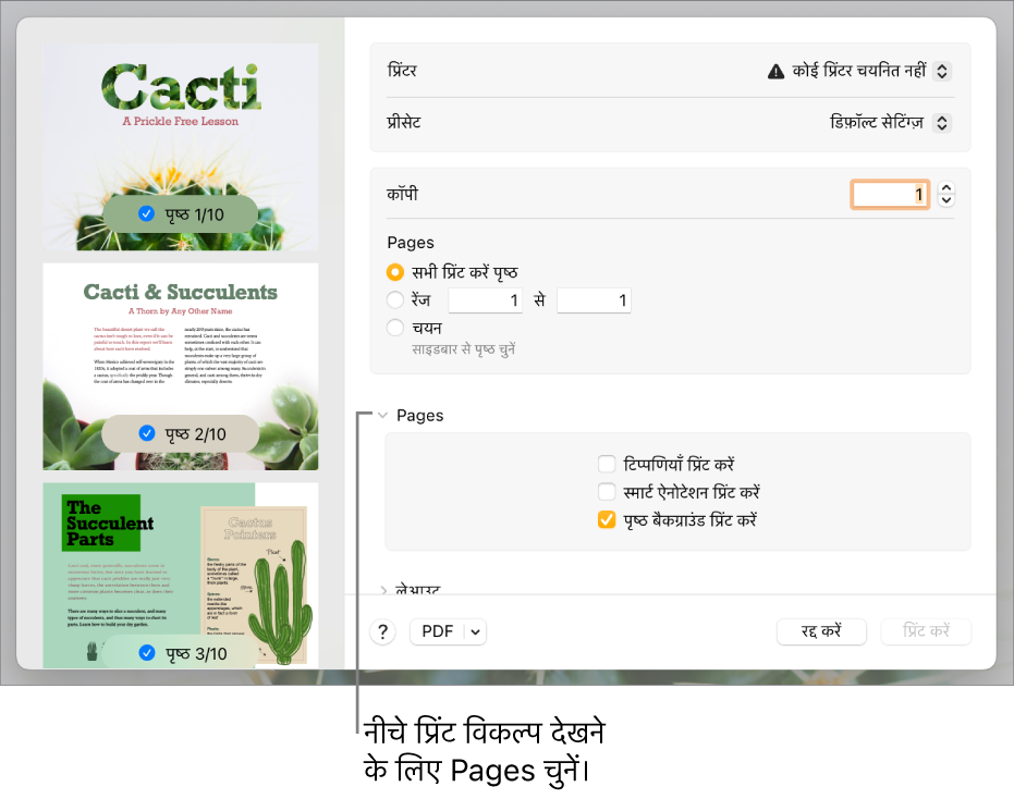 प्रिंट डायलॉग जिसमें प्रिंटर, प्रीसेट, कॉपी और पृष्ठ रेंज के लिए नियंत्रण हैं। पृष्ठ रेंज की सेटिंग्ज़ के नीचे पॉप-अप मेनू में पृष्ठ चुना जाता है, जिसके बाद टिप्पणियाँ प्रिंट करने, स्मार्ट ऐनोटेशन प्रिंट करने और पृष्ठ बैकग्राउंड प्रिंट करने के लिए चेकबॉक्स होते हैं।