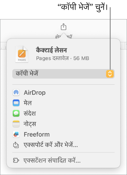 “शेयर करें” मेनू जिसके शीर्ष पर “कॉपी भेजें” चुना गया है।