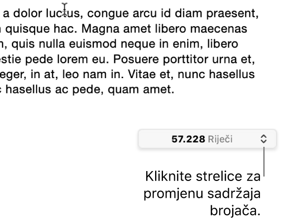 Izbornik s brojem riječi koji prikazuje broj riječi u dokumentu.