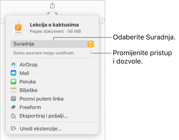 Izbornik dijeljenja s opcijom Suradnja odabran na vrhu i postavke pristupa i dozvola ispod.