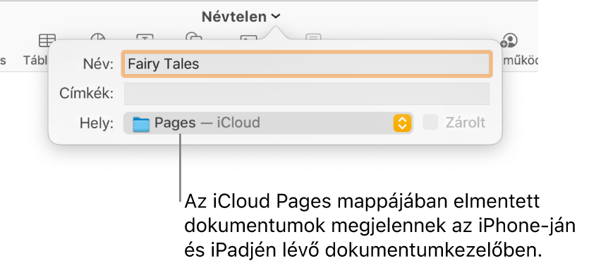 A Mentés párbeszédpanel Pages – iCloud dokumentum esetében a Hely előugró menüben.