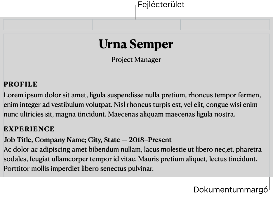 Az elrendezés nézet a fejlécterülettel és a dokumentummargókkal.